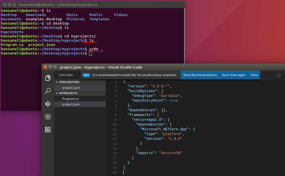 Project json. Visual Studio Ubuntu. Visual Studio code. Visual Studio Linux. Vs code Linux.